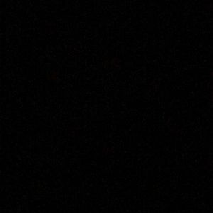 Meet your Posher, Mia